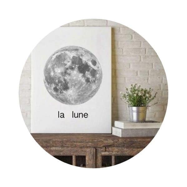 Iscrizione del manifesto “la luna