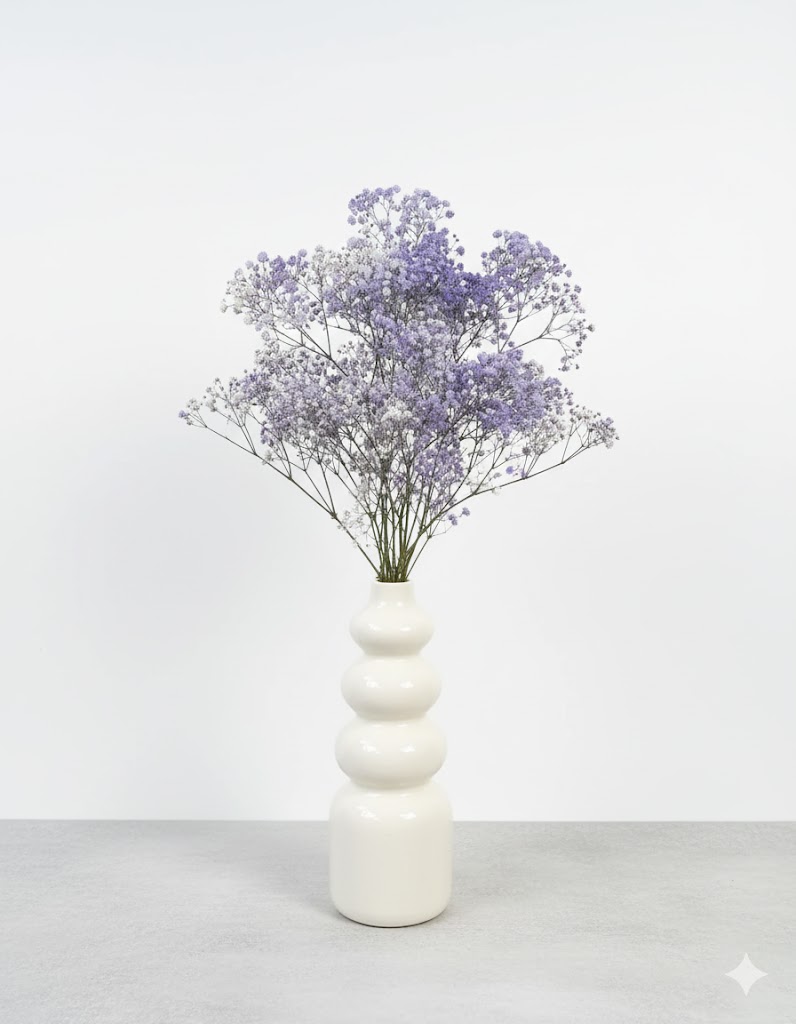 Gypsophila parma (5 stoniek)