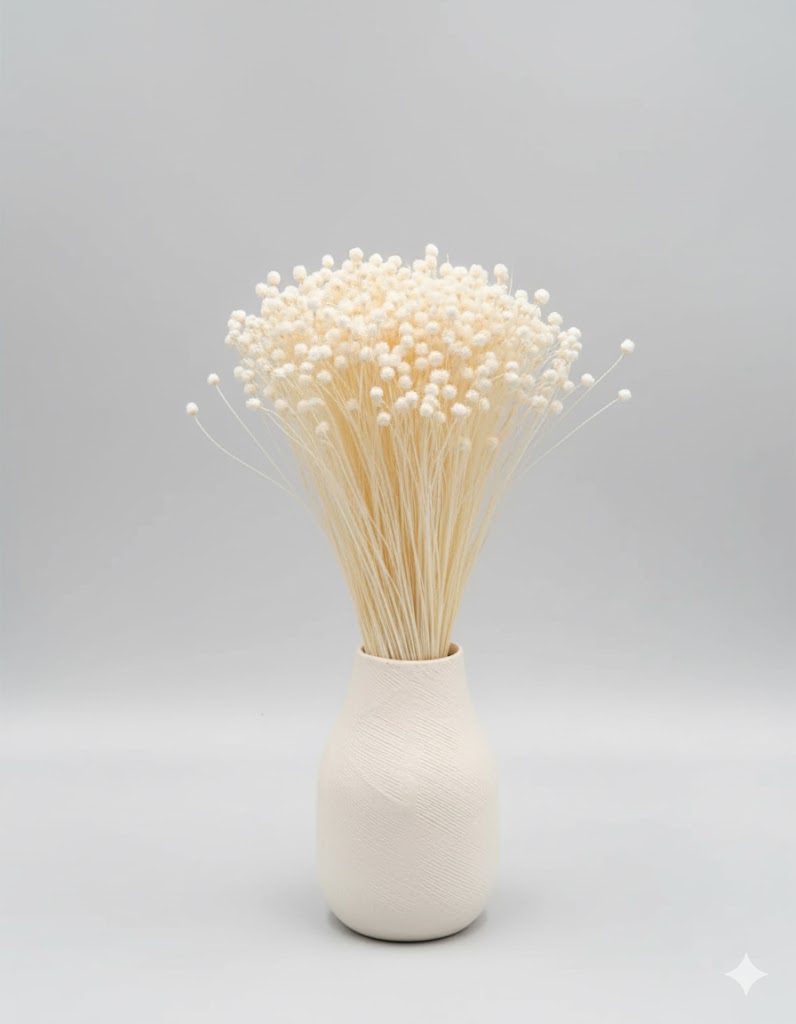 Sušená biela gliksia (60 g)