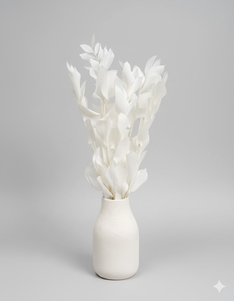 Stabilizovaný biely ruscus (75 g)