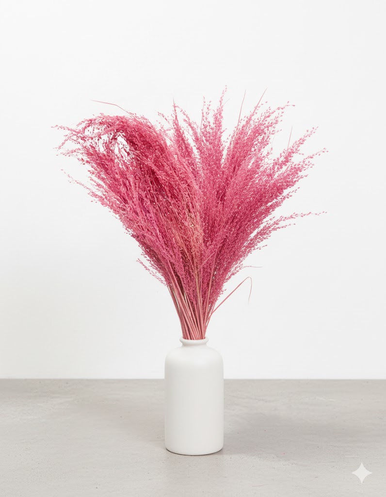 Sušená fuchsiová stargrass (80 g)