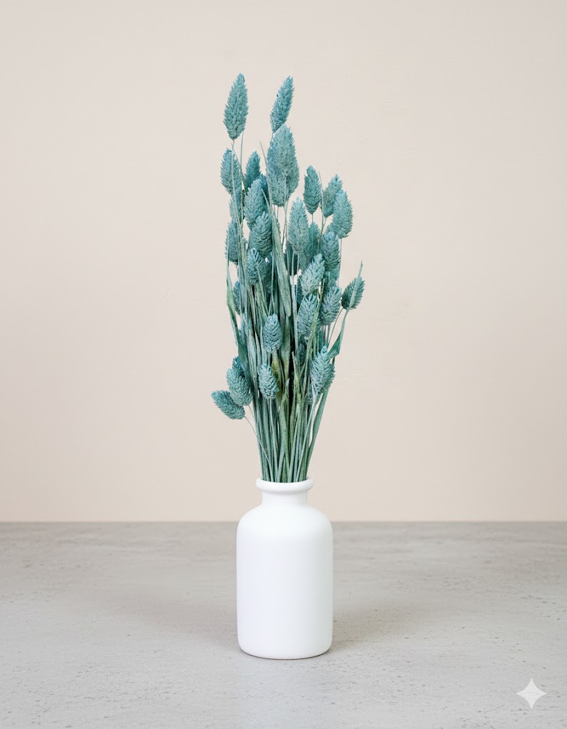 Sušená Phalaris modrá (100 g)