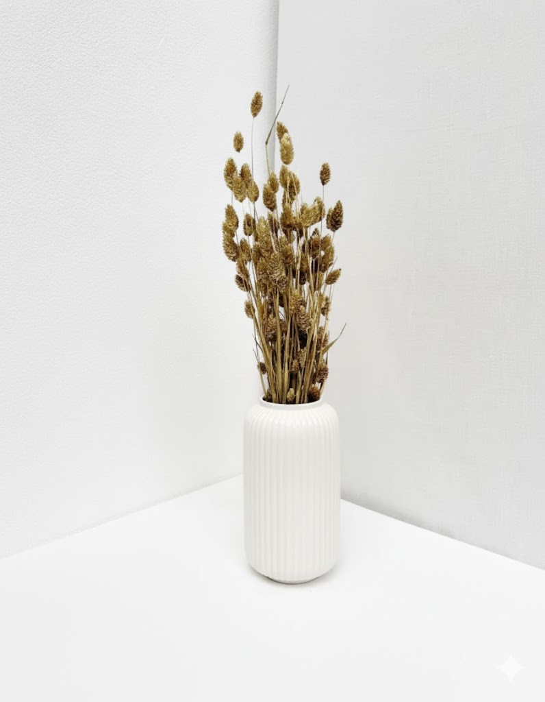 Sušený Phalaris zlatý (100 g)