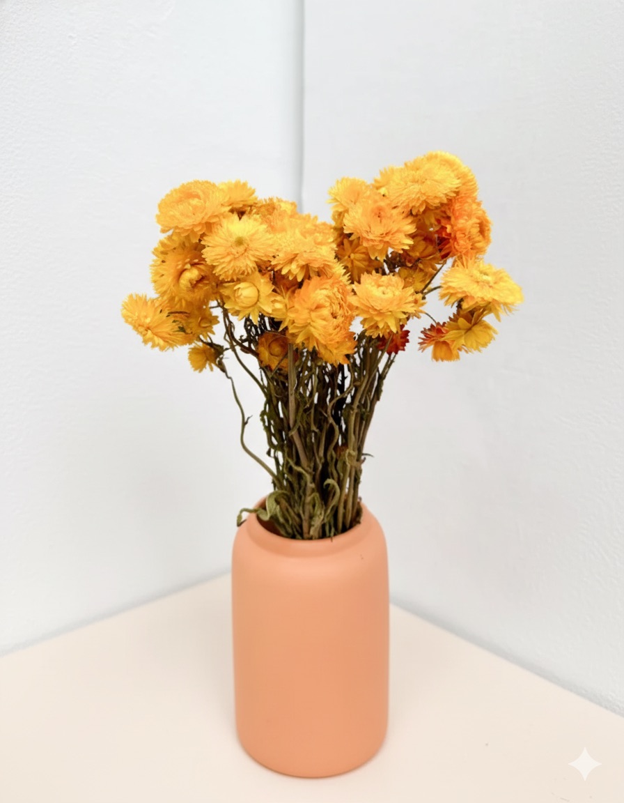 6 fuchsiových večných ruží