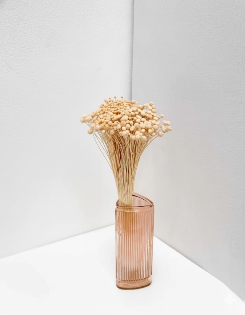 Sušená biela kvetina (100 g)