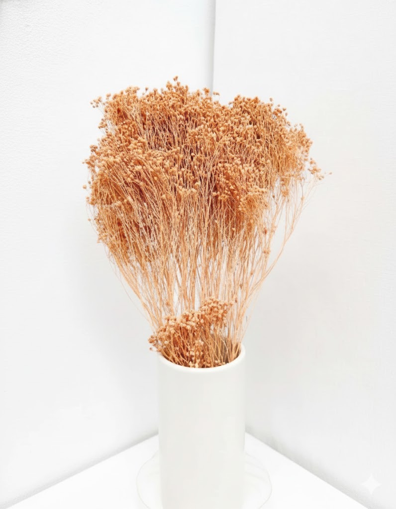 Sušený koralový broom bloom (100 g)