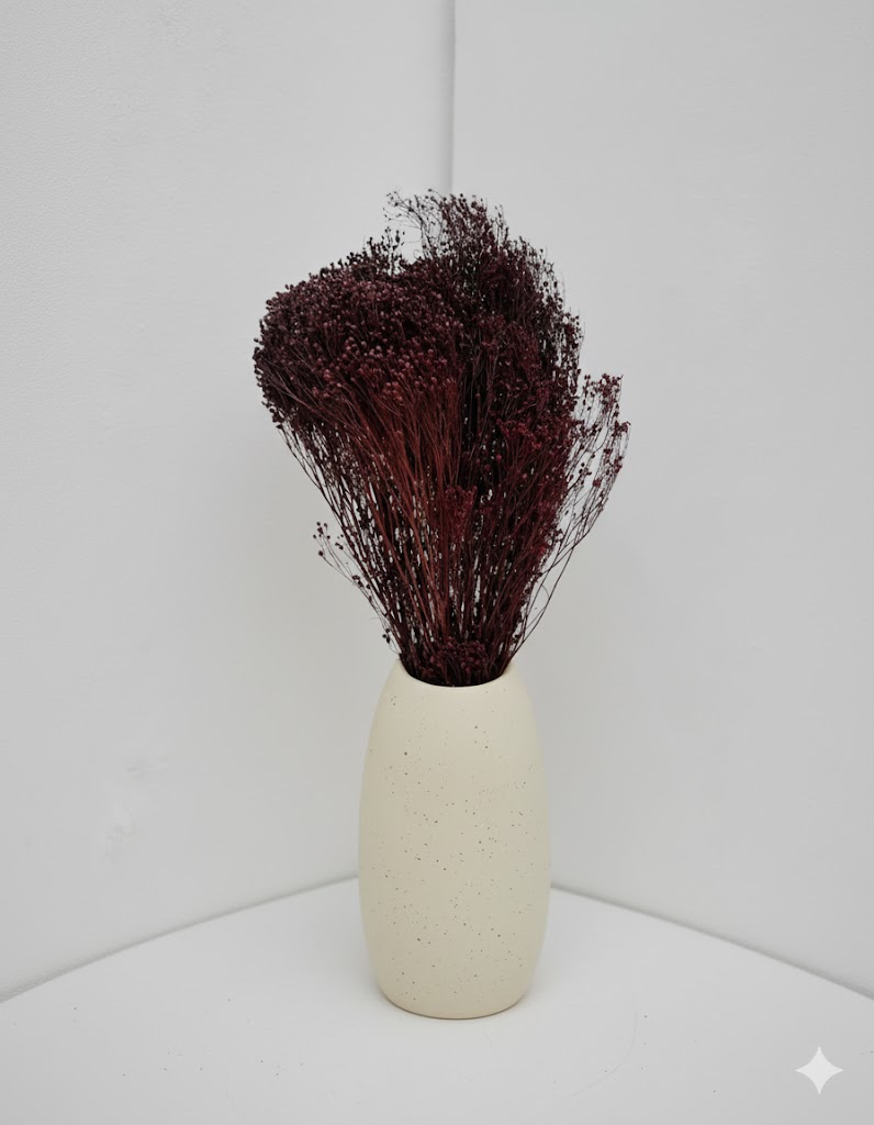 Sušená hnedá broom bloom (100 g)