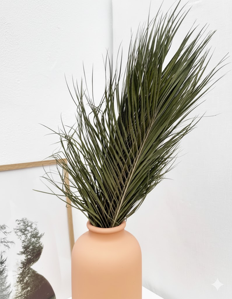 Sušený Phoenix roebelenii (10 stoniek)