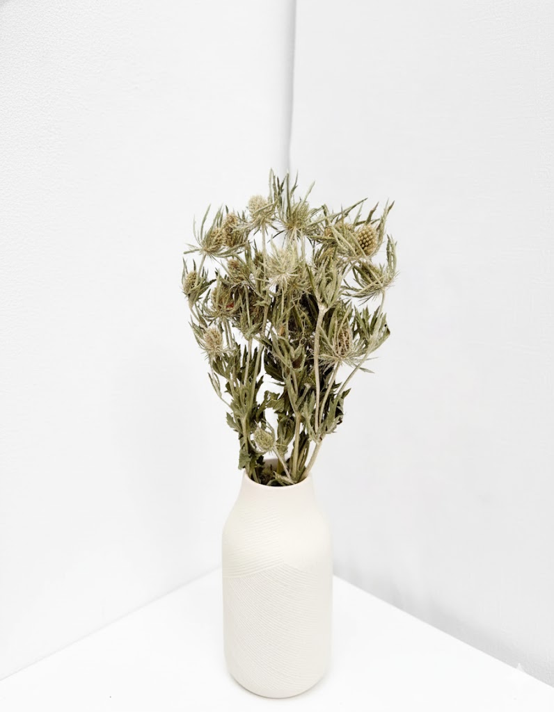 Sušený zelený bodliak (5 stoniek)