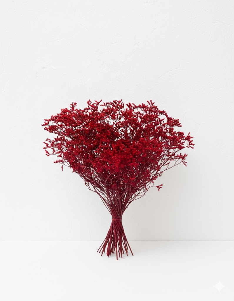 Stabilizované červené limonium (80 g)