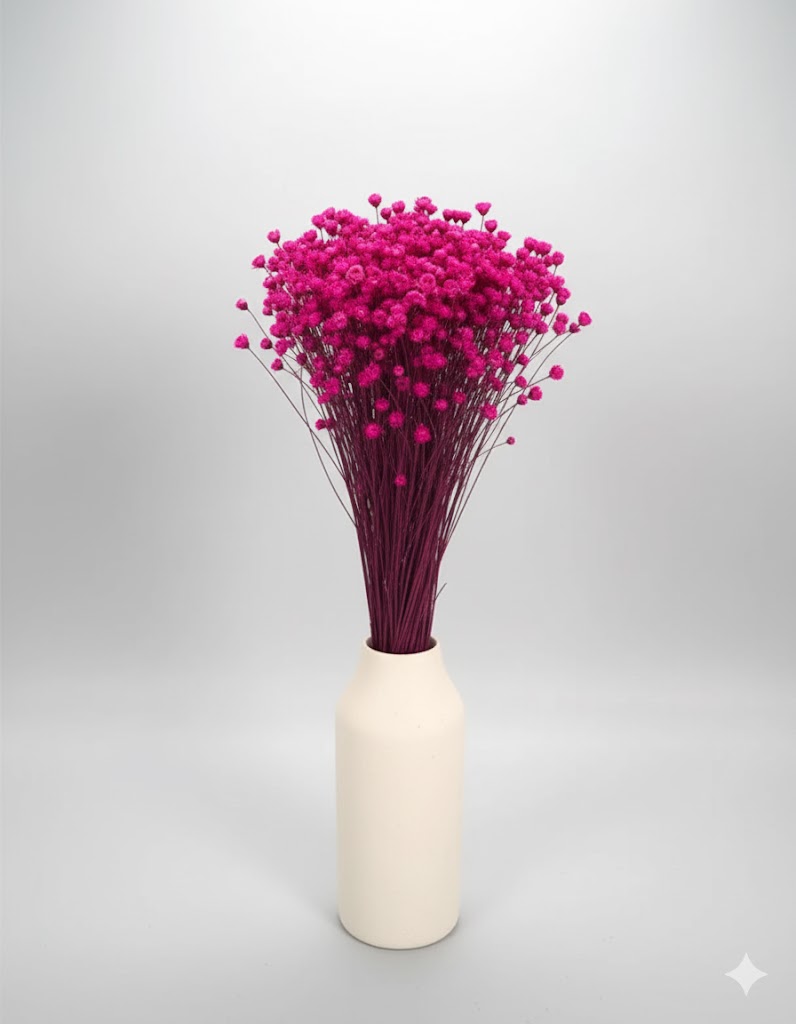 Sušená fuchsiová gliksia (60 g)