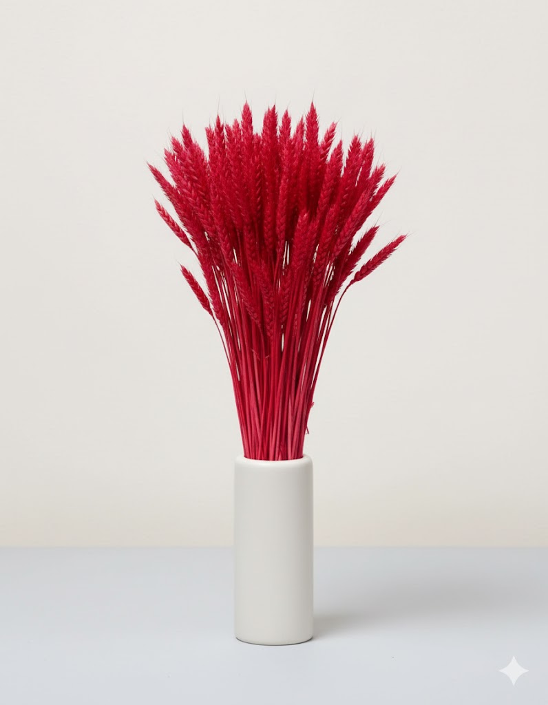 Sušená pšenica fuchsiová (100 g)