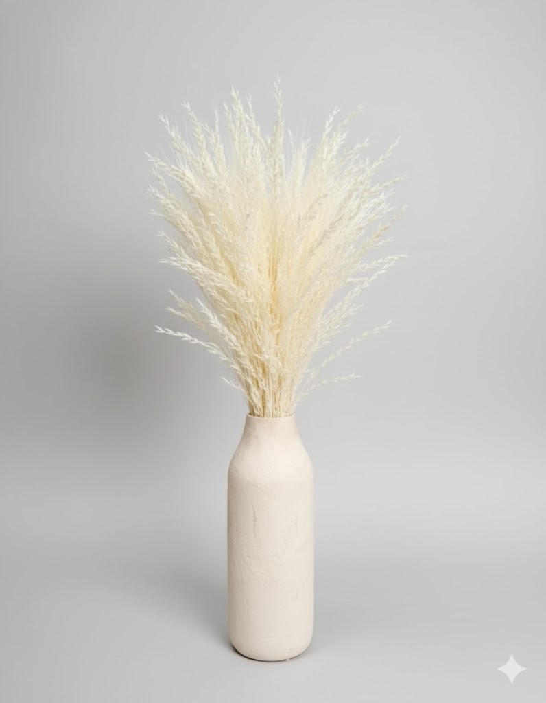 Sušená biela pšenica (100 g)