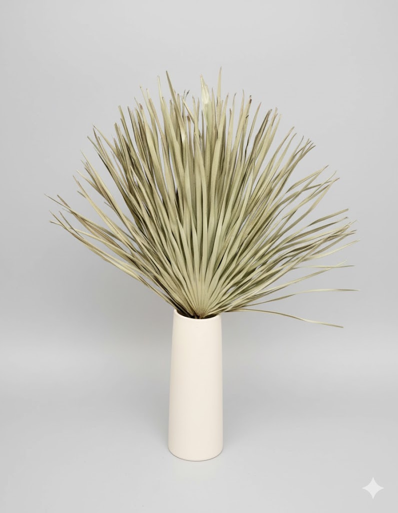 Sušený Chamaerops (10 stoniek)