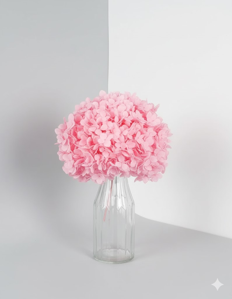 Stabilizovaná ružová hortenzie (30 g)