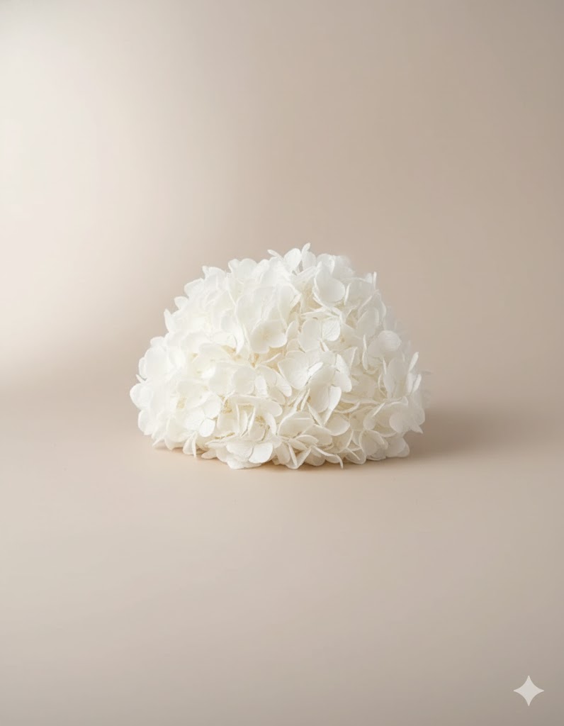 Stabilizovaná biela hortenzie (40 g)