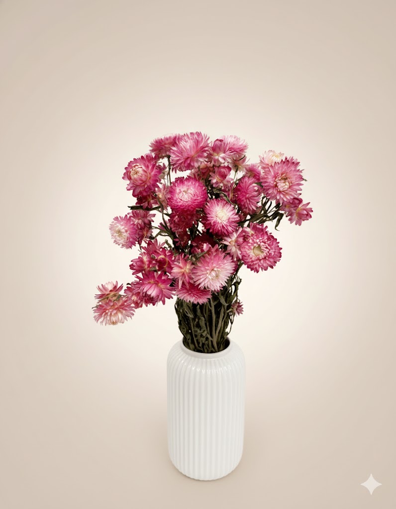 Sušené Helichrysum jemne ružové (80 g)