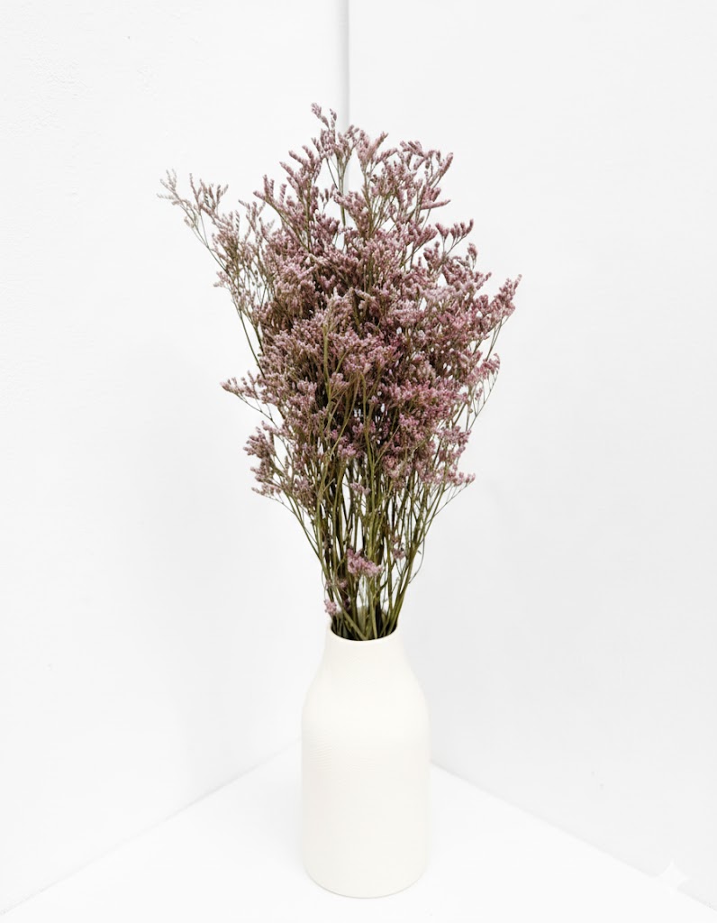 Sušené limonium fialové (5 stoniek)