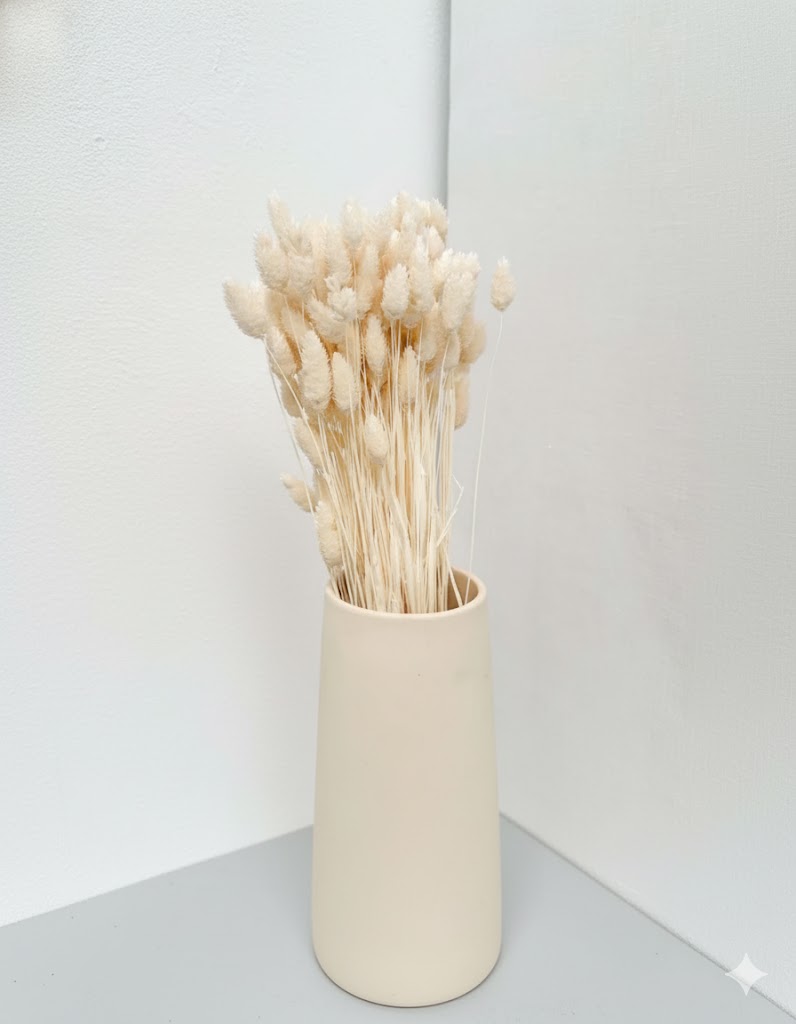 Sušená biela Phalaris (100 g)