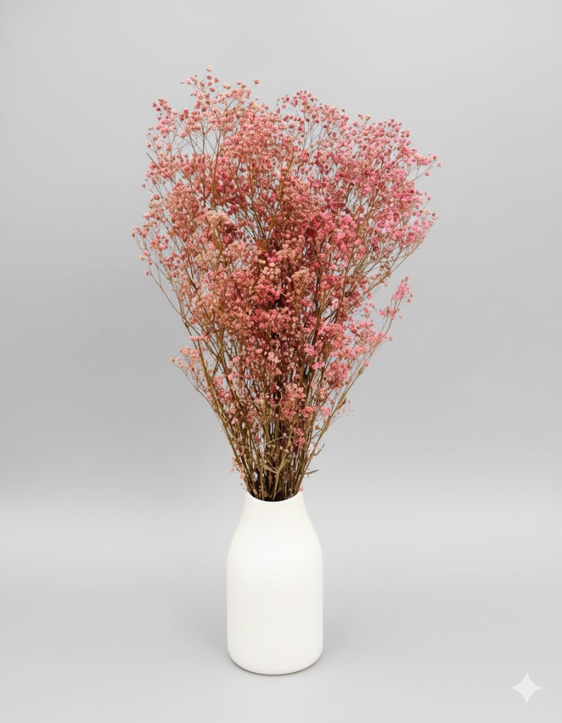 Stabilizovaná ružová gypsophila (100 g)