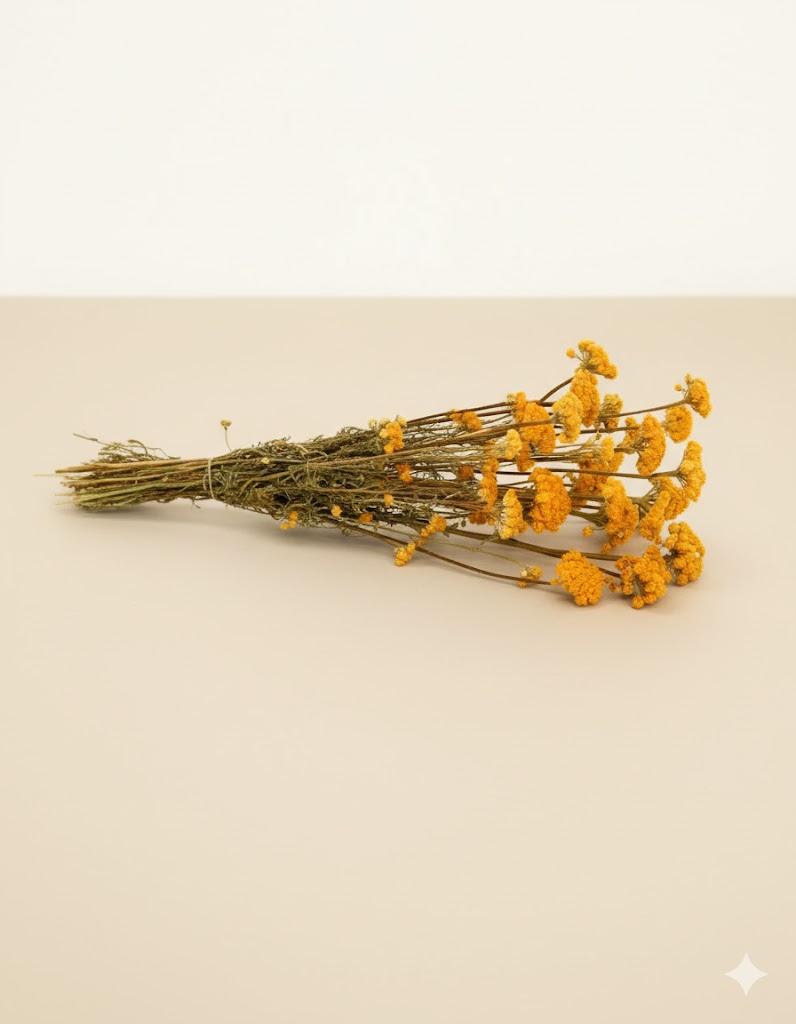 Sušená žltá lona (100 g)