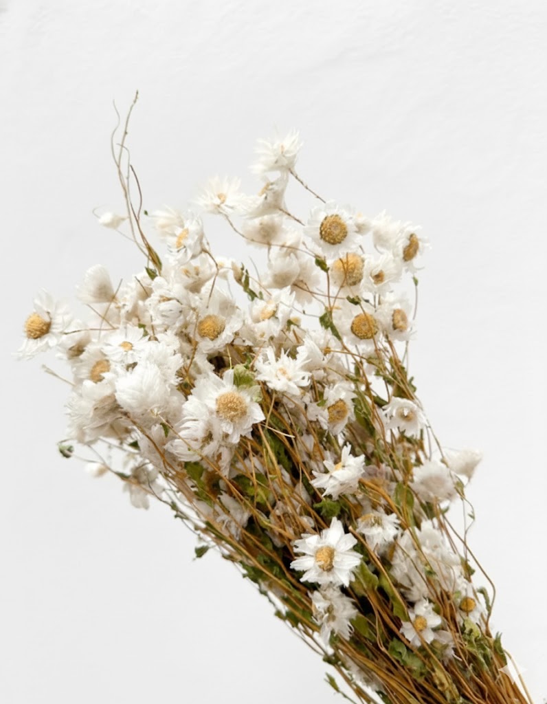 Sušený biely rododendron (70 g)