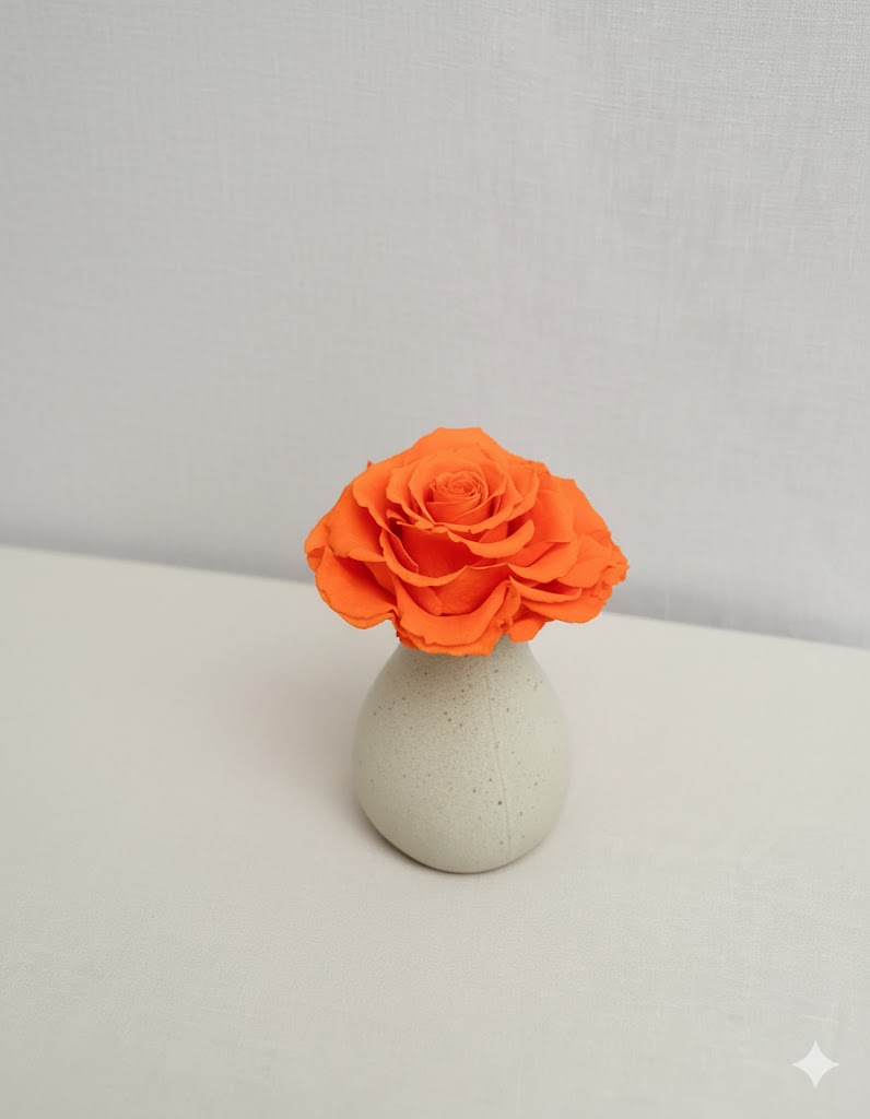 Večná oranžová ruža – večne krásna