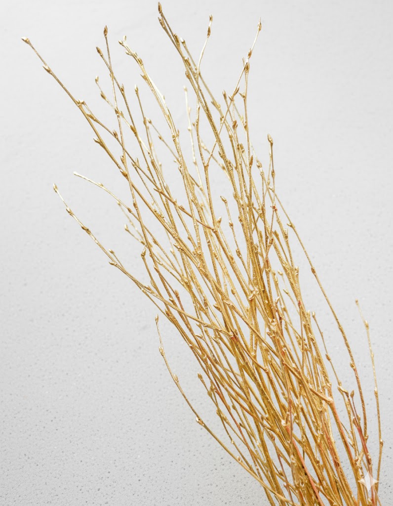 Zlatá Betula (10 stoniek)