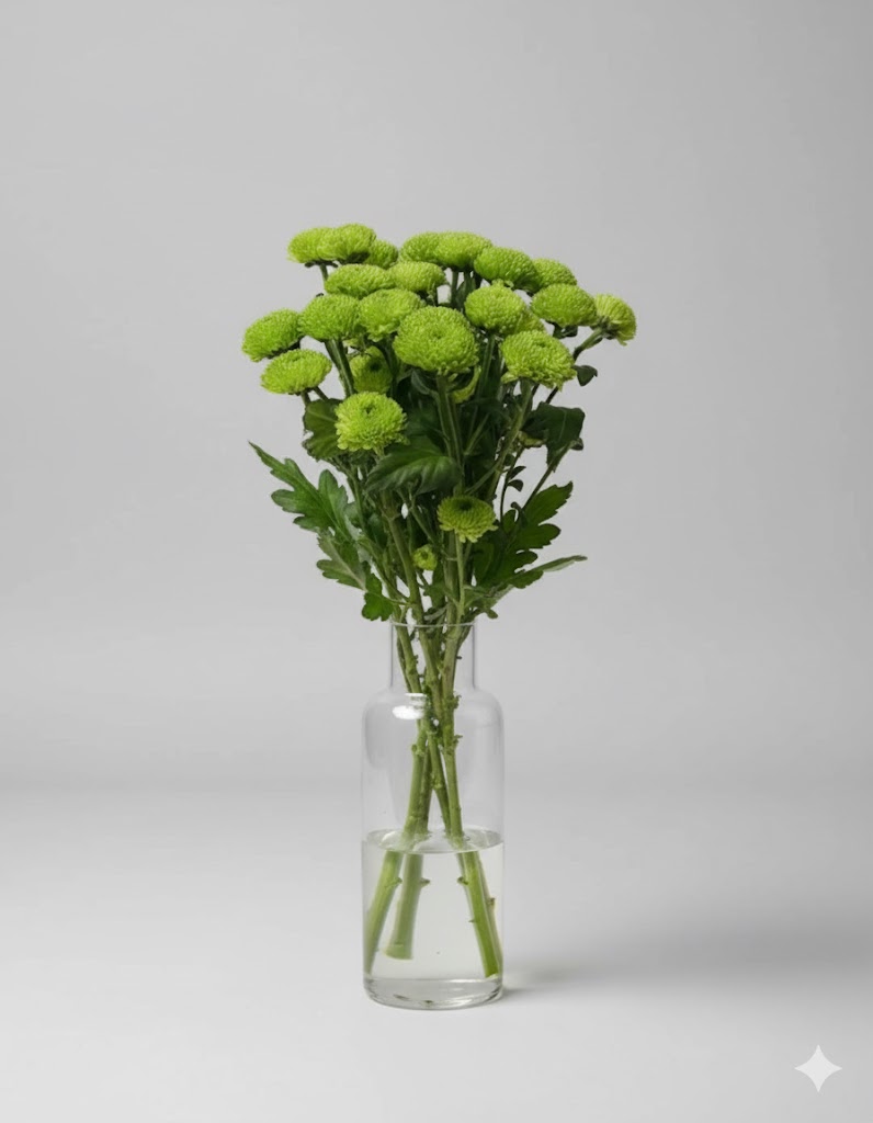 Zelené Santini (5 stoniek)