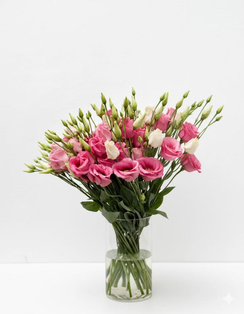 Ružový lisianthus (10 stoniek)