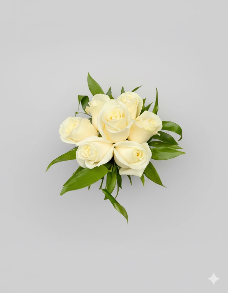 Kytica slečny Alice