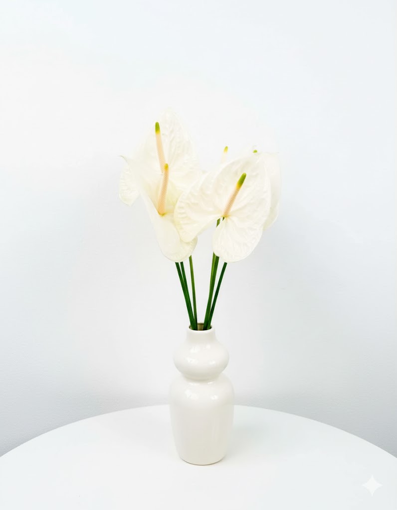 Biela anthuria (6 stoniek)