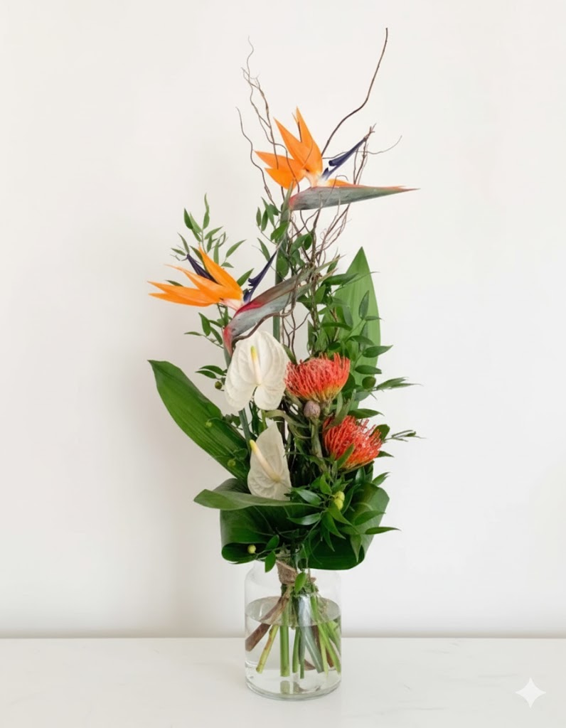 Kytica Fort-de-France