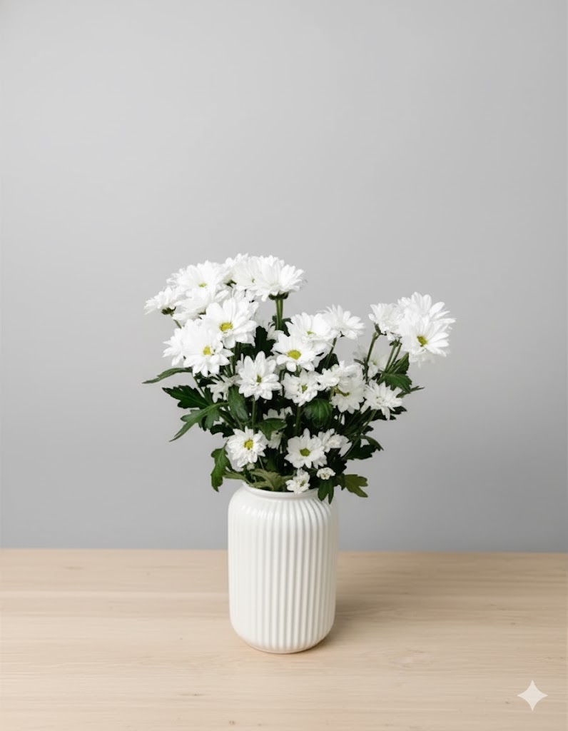 Biely Santini (5 stoniek)