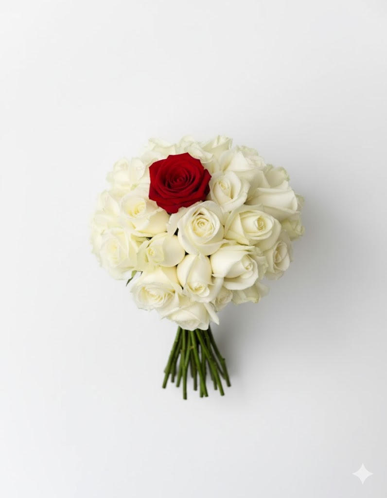 Kytica z Buenos Aires