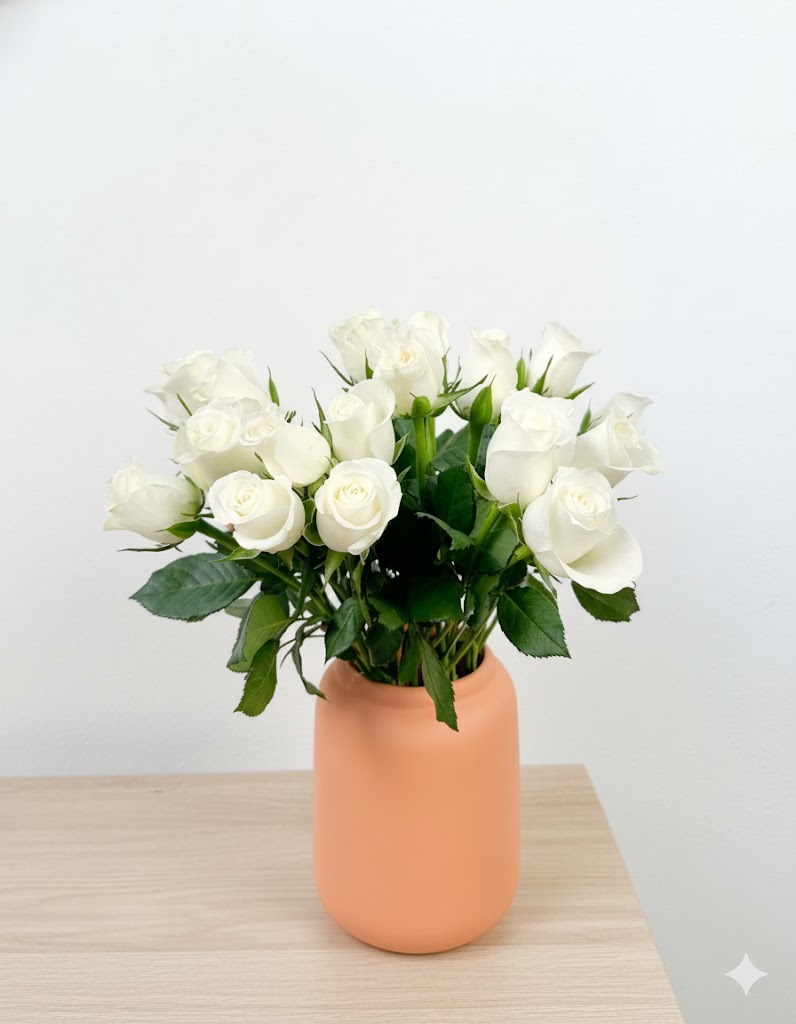 Ruža Akito (20 stoniek)