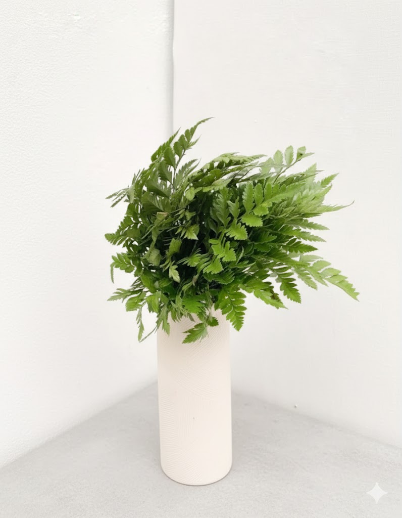 Malá papraď (20 stoniek)