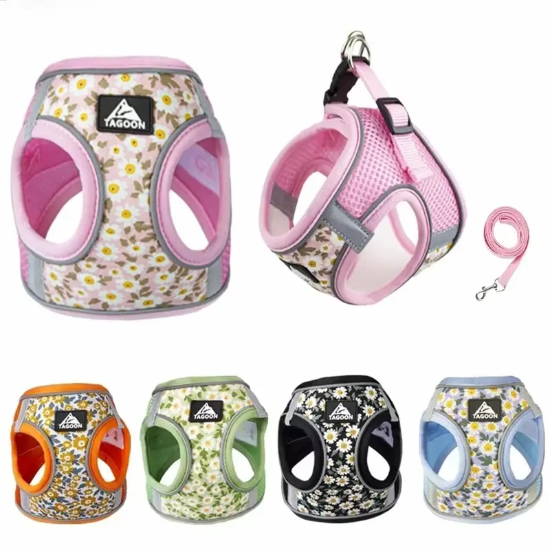 Postroj pre mačky z polyesteru – bezpečný proti úteku | catnova