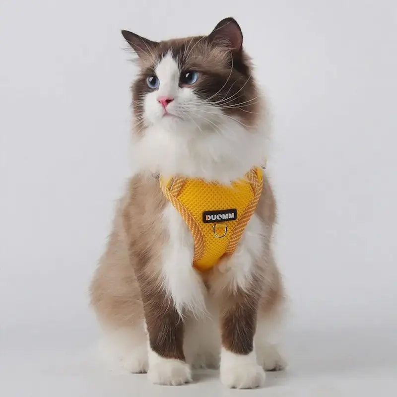 Nylonsele för katt