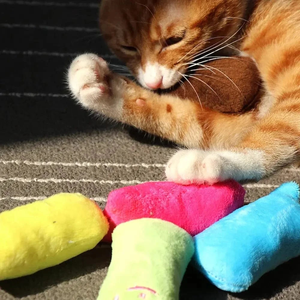 Kattens snuttefilt – Griffe d'Amour