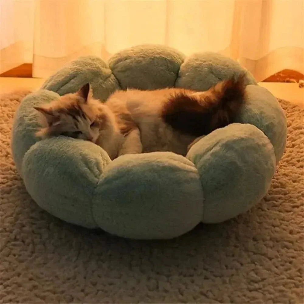 Blommformad kattkudde Griffe d'Amour