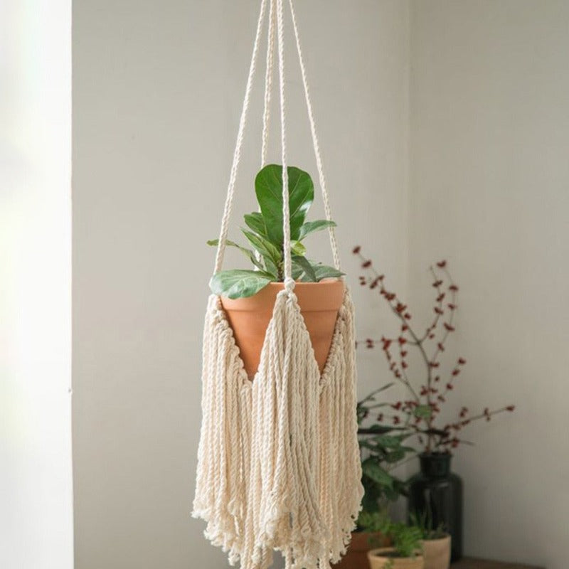 Macramé suspensión vegetal