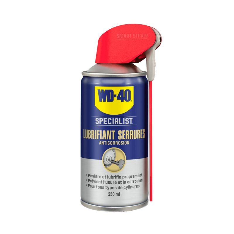 VD-40 Spetsialist Lotsk Lubritsant (250 ml aerosol)