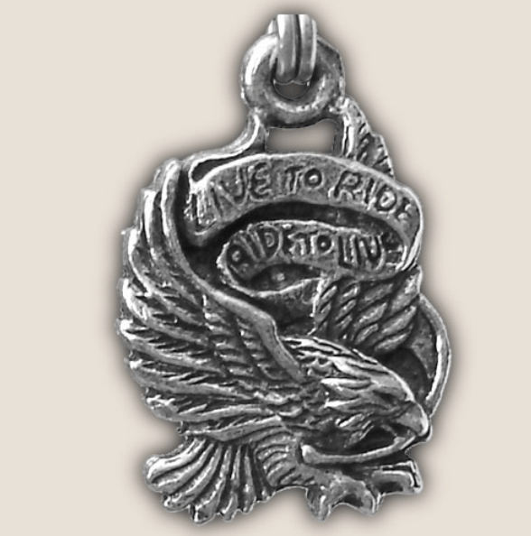 Mototsiklistichka јakna raјsfershlusa povutsite – vozite da zhivite
