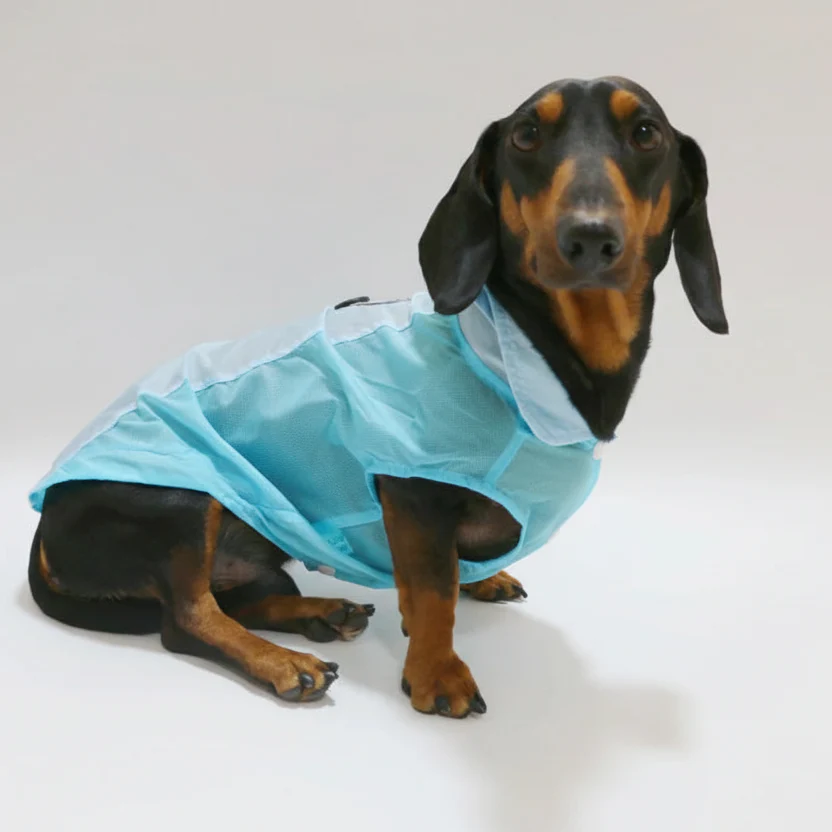 Tricou răcoritor pentru câini dachshund