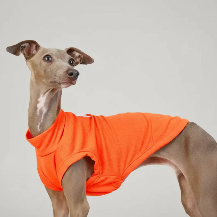 Tricou respirabil pentru câini de vânătoare și whippet