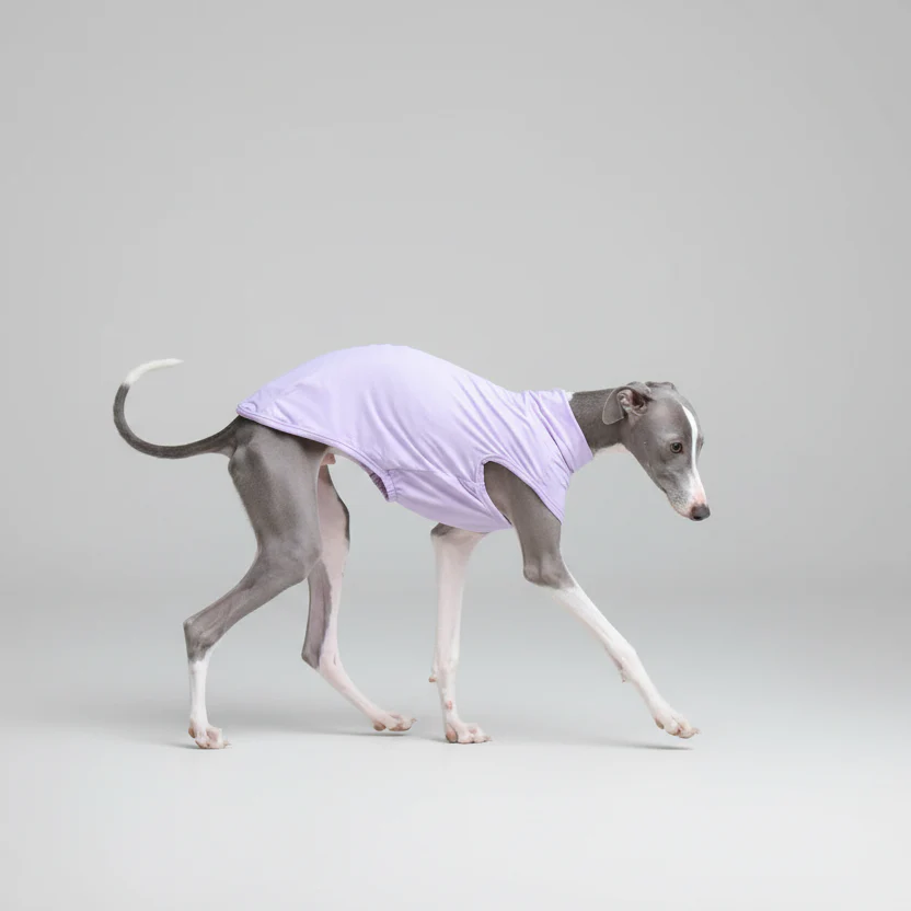 Tricou de protecție pentru ogari și whippet