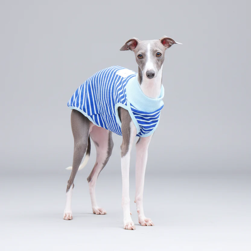Tricou fără mâneci pentru câini whippet și ogari