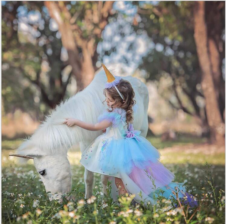 Kleid Prinzessin Einhorn Mehrfarbig mit Zubehör