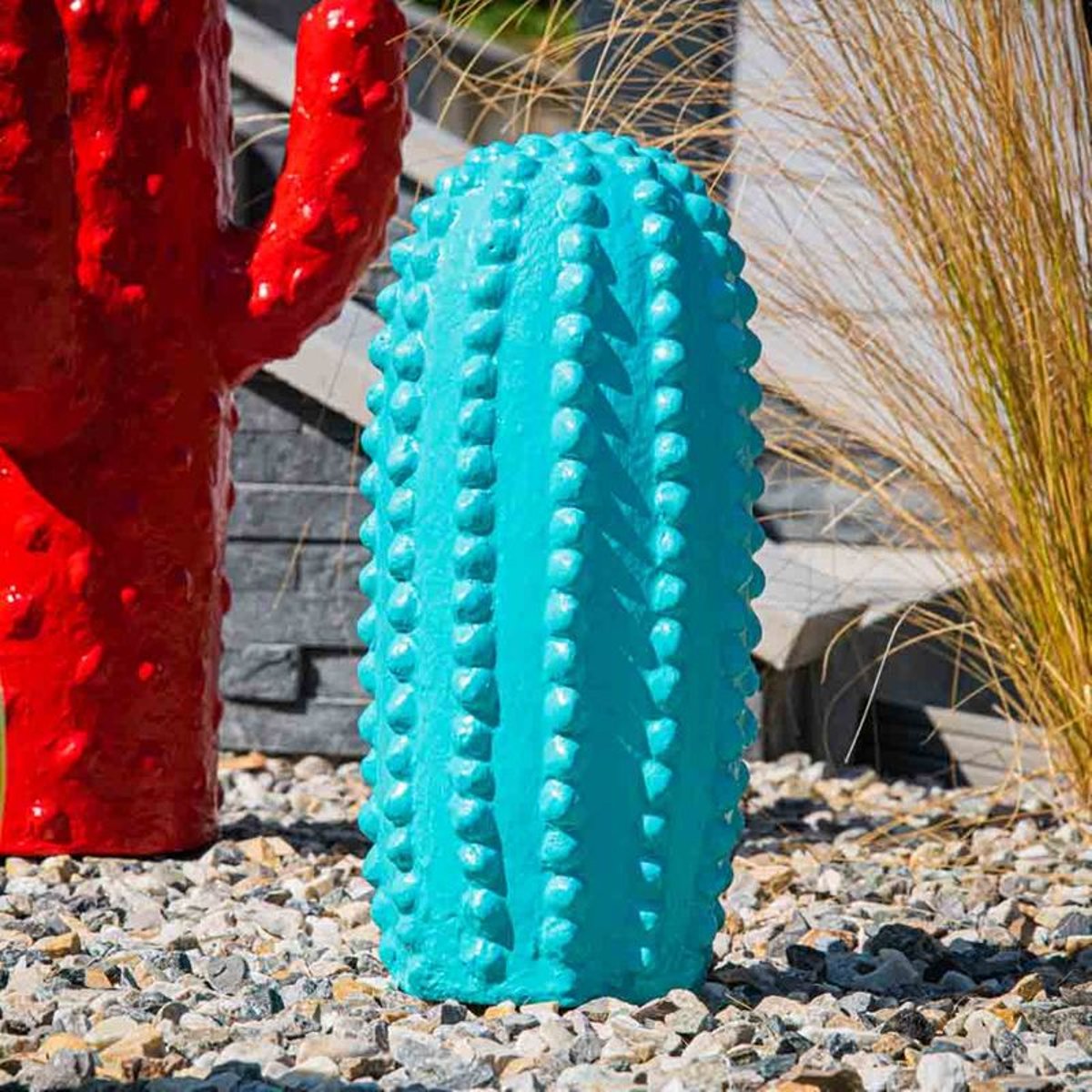 Blauw cactus tuinbeeld